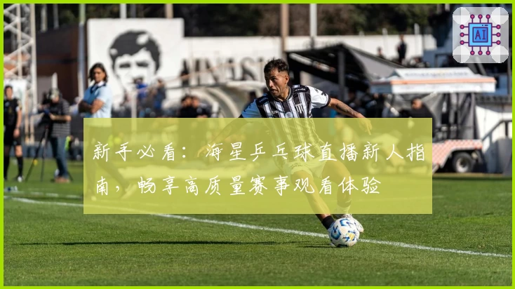 新手必看：海星乒乓球直播新人指南，畅享高质量赛事观看体验