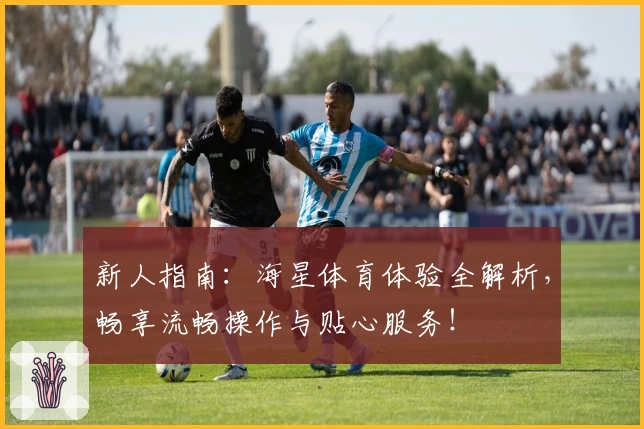 新人指南：海星体育体验全解析，畅享流畅操作与贴心服务！