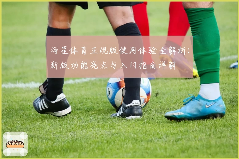 海星体育正规版使用体验全解析：新版功能亮点与入门指南详解