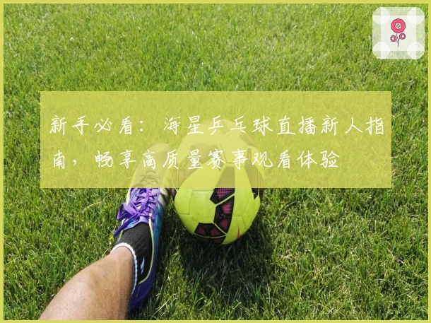 新手必看：海星乒乓球直播新人指南，畅享高质量赛事观看体验