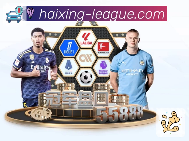 海星体育 品牌合作